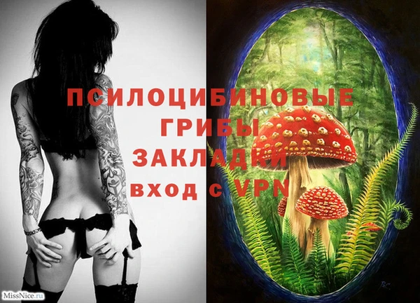 мдма Ладушкин